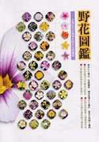 More about 野花圖鑑