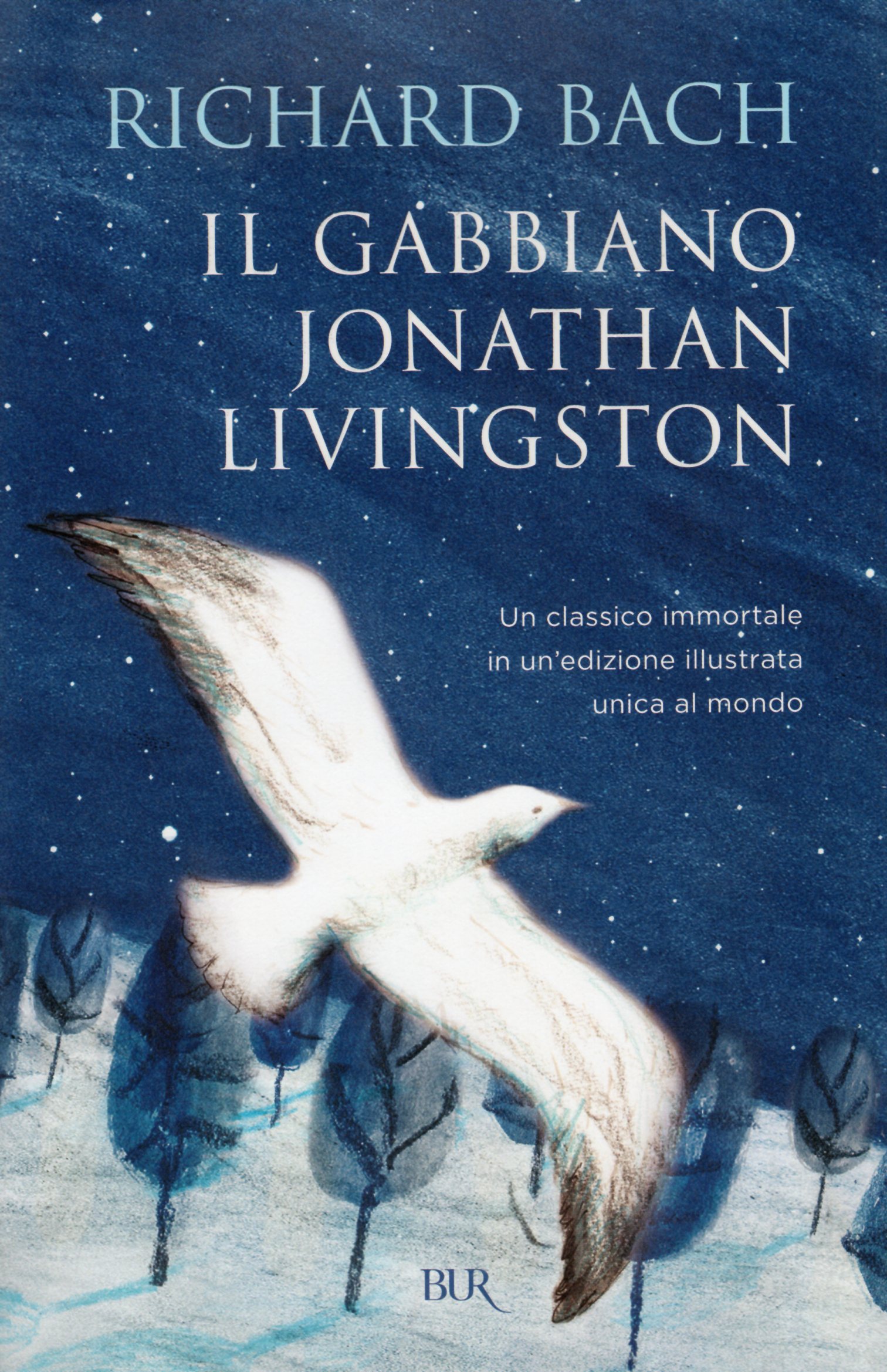 Il Gabbiano Jonathan Livingston Analisi E Commento