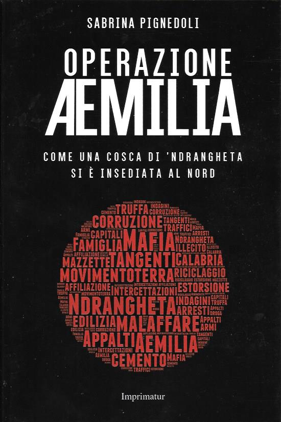 12 Citazioni E Frasi Dal Libro Operazione Aemilia Di Sabrina Pignedoli Anobii